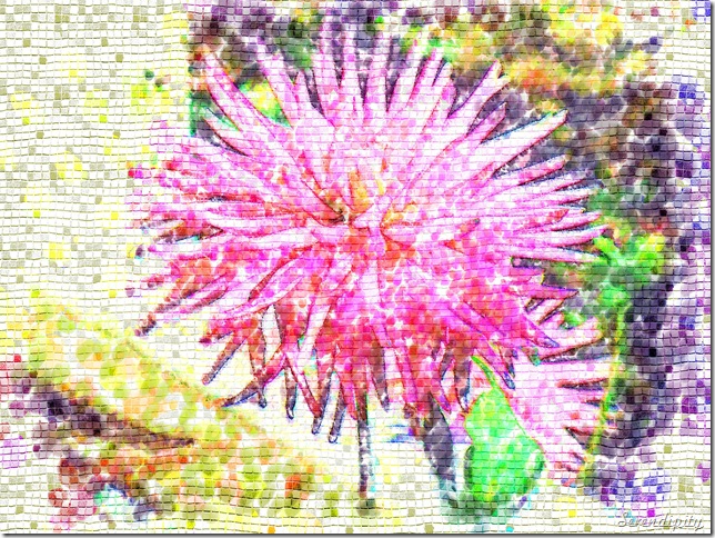 pink impasto pink impasto