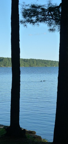 [L10404564.jpg]