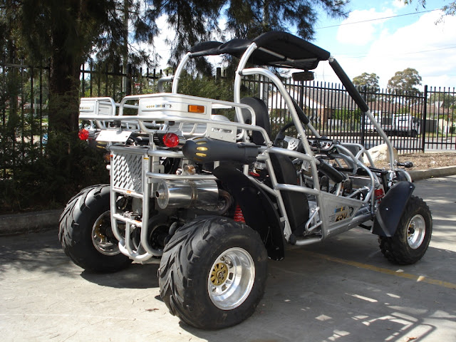 hammerhead buggy for sale