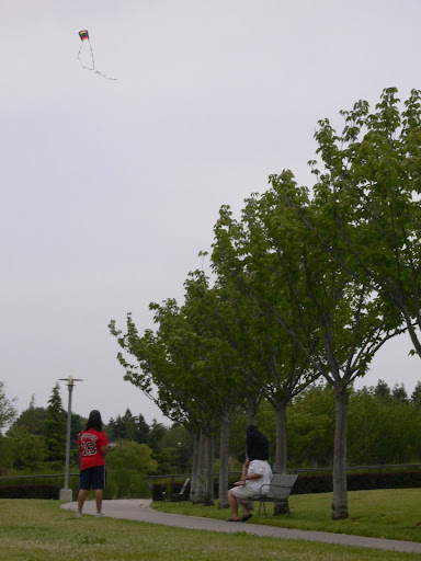 Orion Kites