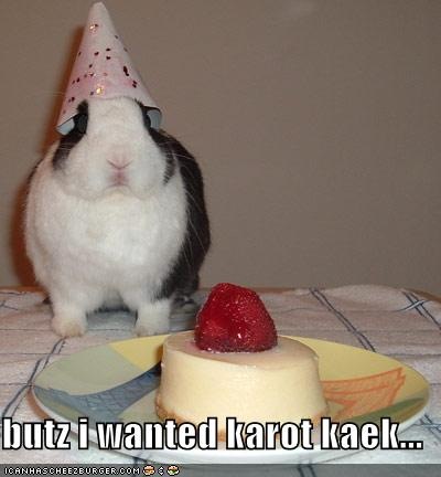 funny-pictures-your-rabbit-wanted-carrot-cake-instead
