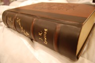 Picture 010