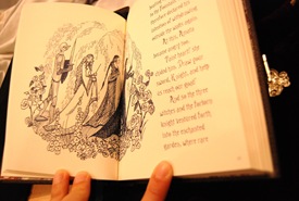Picture 014