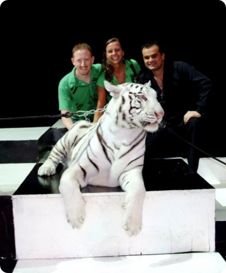 jupiter-the-white-tiger