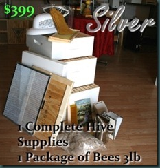 silver11