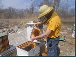 Overwintered hive 2011 Overwintered hive 2011