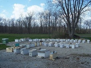 [nucs[2].jpg]