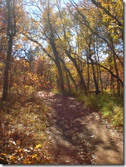 DSCN2300