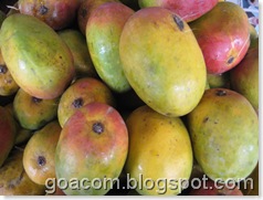 Goan mangoes