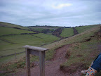 The Distant House