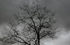 IMG_1559