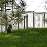 Campus Wildlife (7)