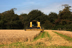 Harvest 2
