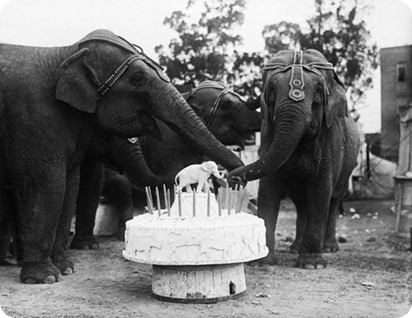 vintage-photography-birthday-cake