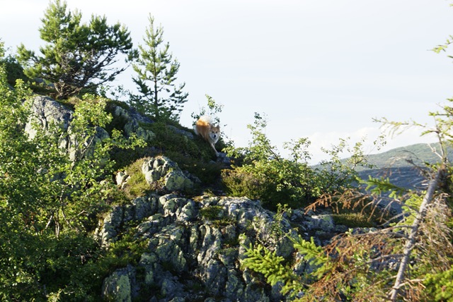 [DSC02456[1].jpg]