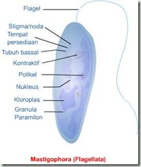 clip_image006