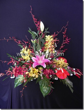milanhoa 01040710