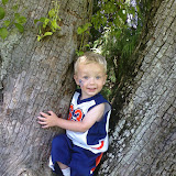 Shot from Tyler's Pre on the 4th in a tree :).