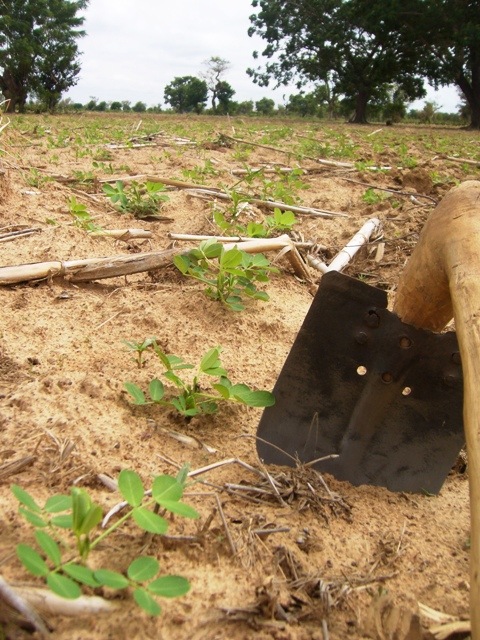 [Farming065.jpg]