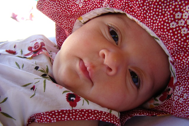 [DSC09353[1].jpg]
