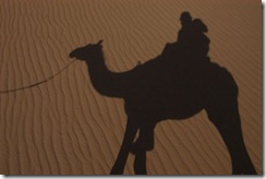 Camel shadow