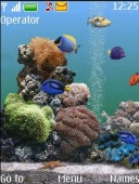 Aminated Aquar Remix