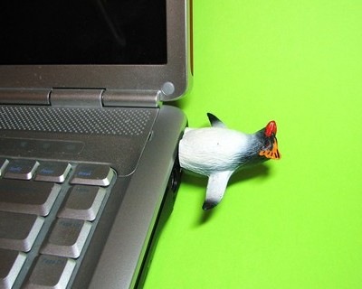[Hemingway funs Pinguin USB flash drive 1[3].jpg]