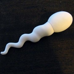 [Sperm Storage USB flash drive 1[4].jpg]