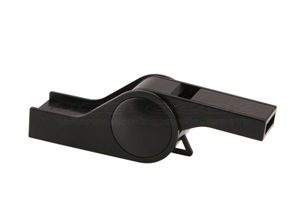 [Whistle USB Drive 3[4].jpg]
