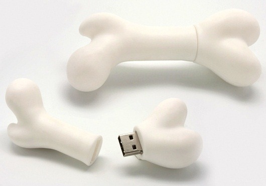[Human Bone USB flash drive[5].jpg]