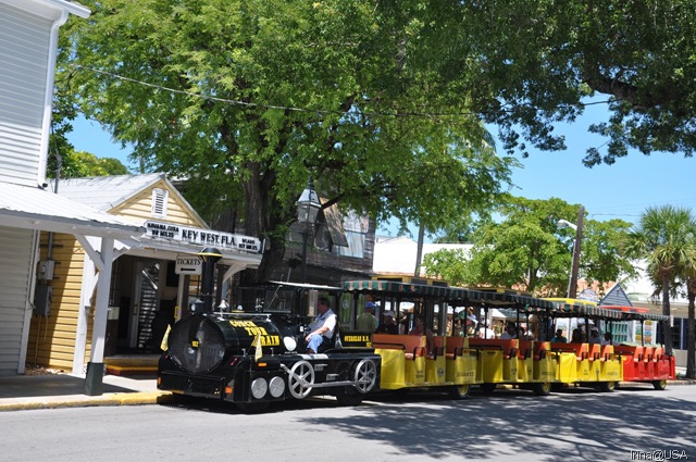 [KeyWest2010140[2].jpg]