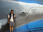 The famous wall painting of whale in Kaikorua