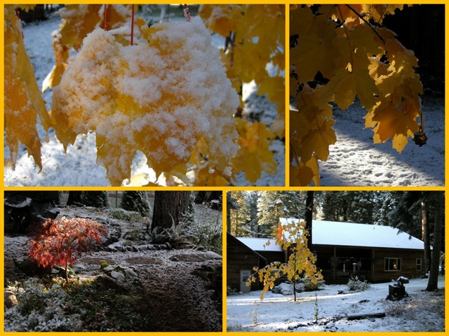 [10_26_2010-1[6].jpg]