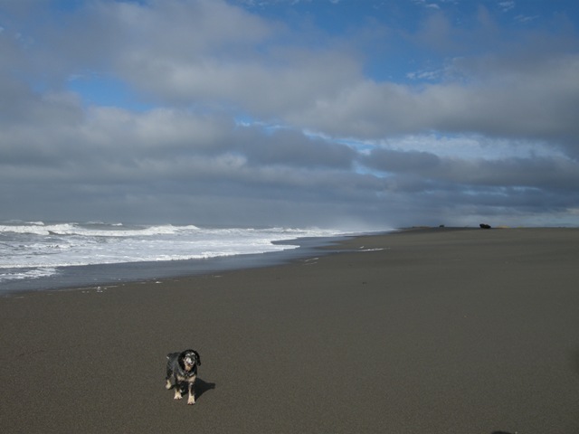 [Ferndale (45)[5].jpg]