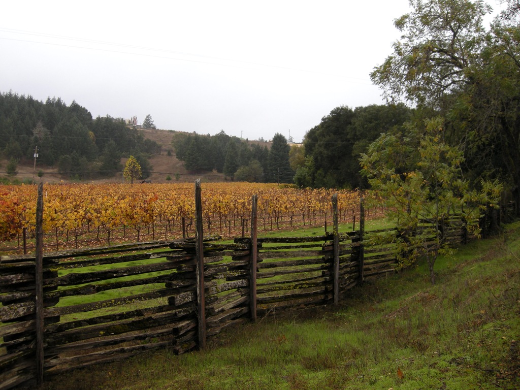 [Fort Bragg to Forestville (5)[7].jpg]