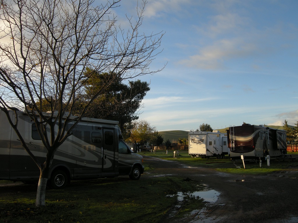 [Christmas Day 2010 (20)[4].jpg]