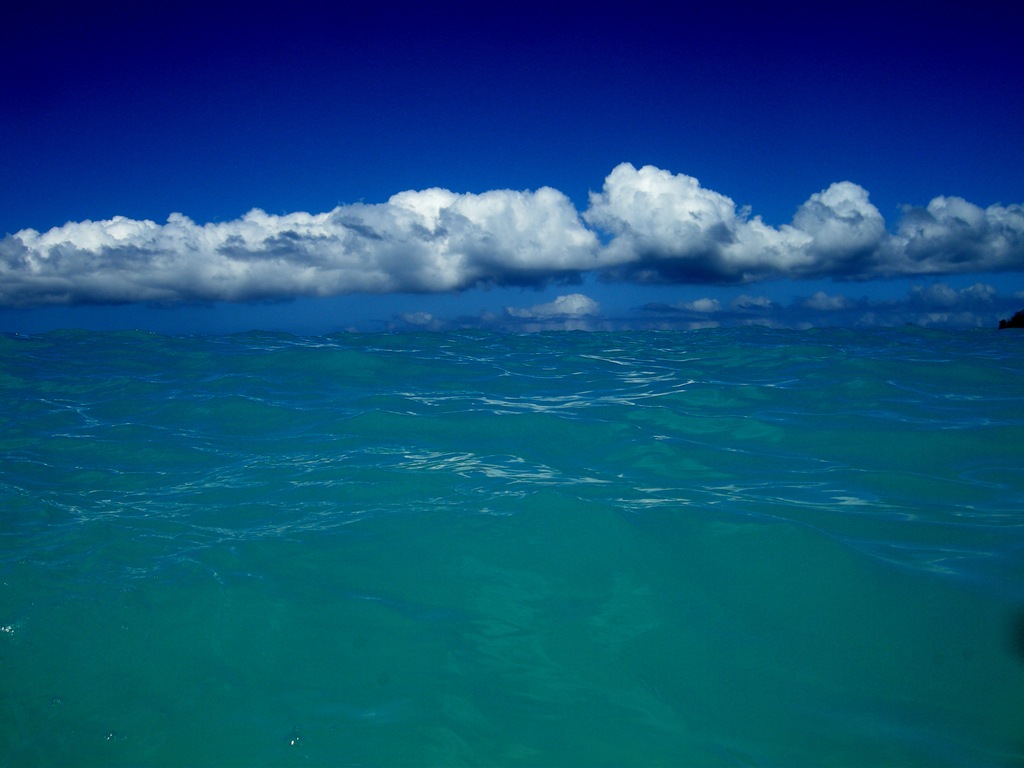 [St John Day 5-45[4].jpg]