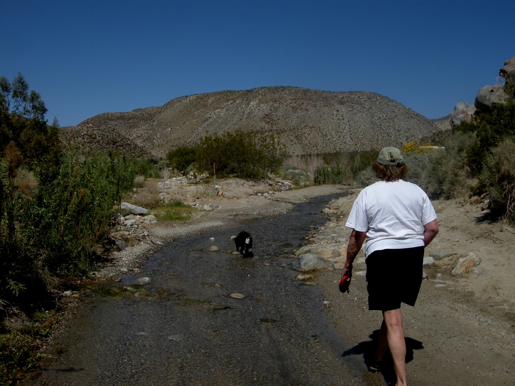 [Coyote Canyon (27)[2].jpg]