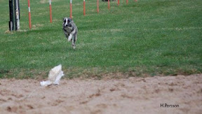 Milou_Maritza - Lc.jpg