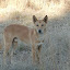 AllTrails Photo Gallery