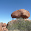 AllTrails Bike Tours Gallery Thumbnail