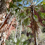 AllTrails Bike Tours Gallery Thumbnail