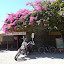 AllTrails Bike Tours Gallery Thumbnail
