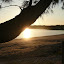 AllTrails Bike Tours Gallery Thumbnail
