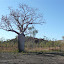 AllTrails Bike Tours Gallery Thumbnail