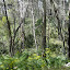 AllTrails Bike Tours Gallery Thumbnail