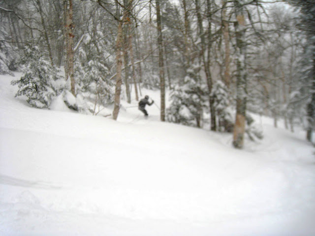 IMG_2674.jpg