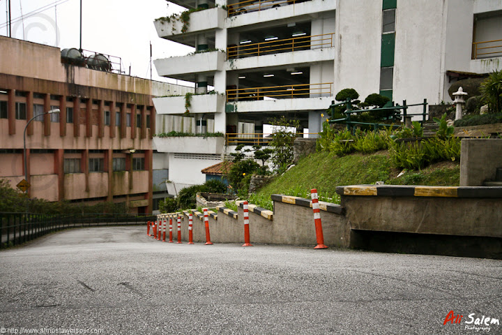 IMG_8222