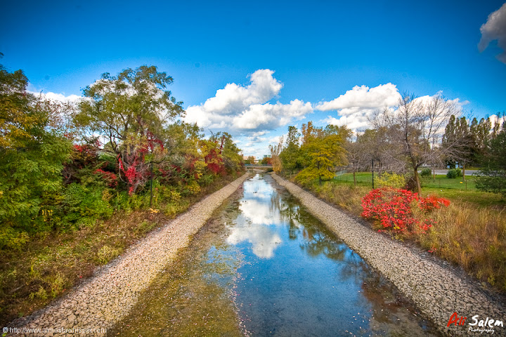 Jardin-des-floralies-17
