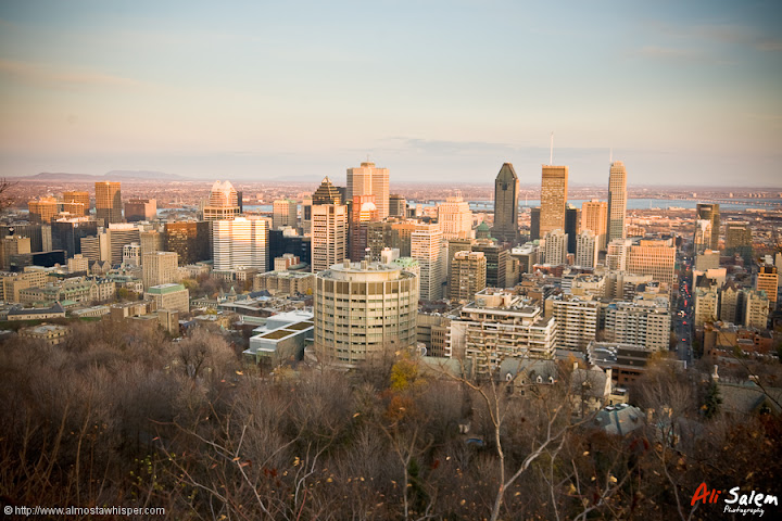 Montreal-View-Mount-Royal-2